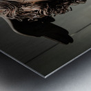 Head of Medusa by sculptor Antonio Canova 1799 bronze and cop Metal print