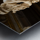 Rome Italy - Galleria Borghese museum - Aeneas Anchises and As Metal print