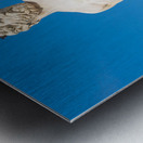 Florence Italy - Neptune Fountain. Marble sculpture Renaissanc Metal print