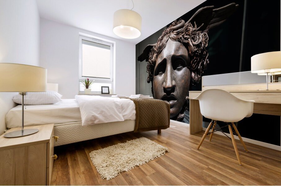 Head of Medusa by sculptor Antonio Canova 1799 bronze and cop Mural print