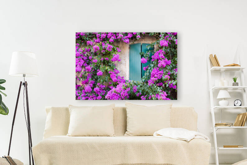 Blooming bouganville flower in summer season- exterior decoratio by Paolo Modena