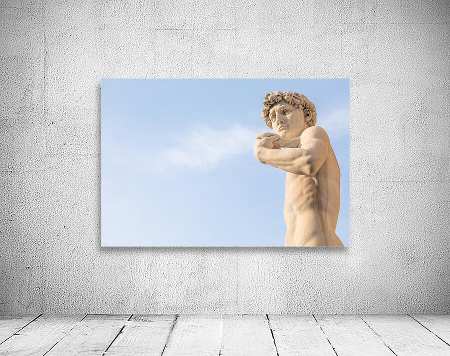 Italy Florence. David by Michelangelo antique marble sculpture Wall Preview