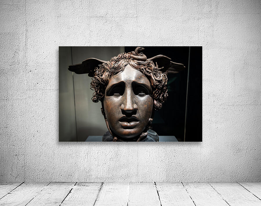 Head of Medusa by sculptor Antonio Canova 1799 bronze and cop Wall Preview