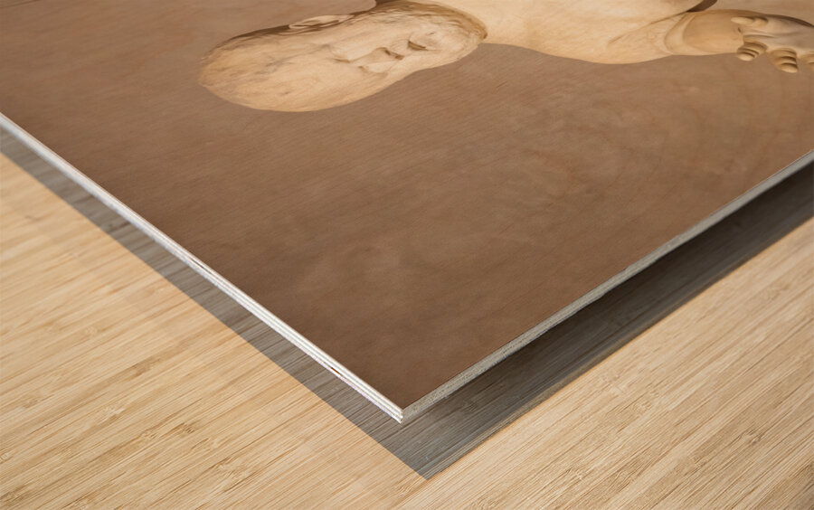 Morgante riding a tortoise marble statue by Valerio Cioli 1568 Wood print