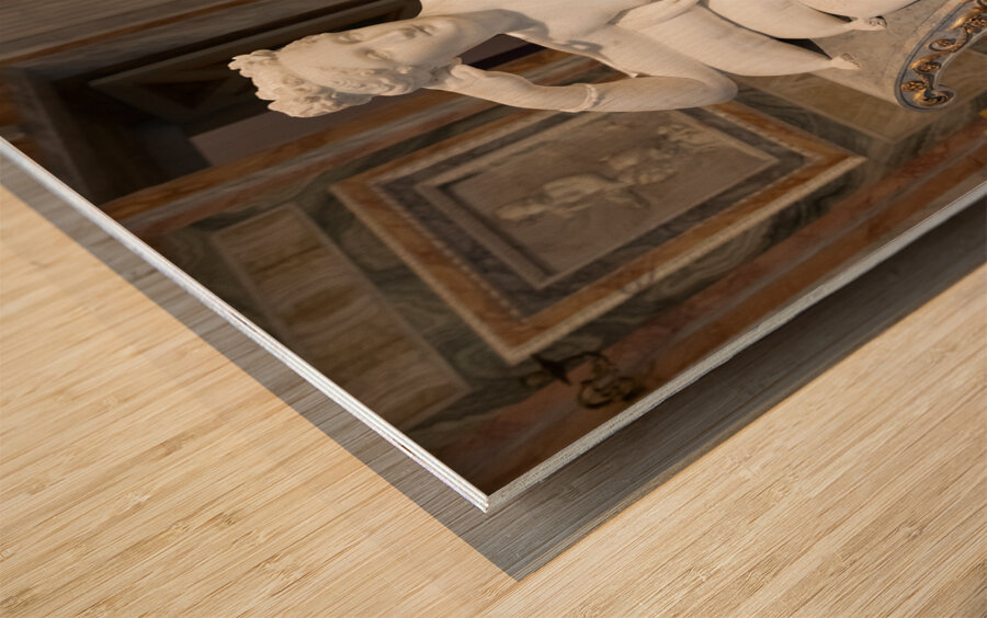 Rome Italy - Paolina Borghese Bonaparte as Venus Victrix by sc Wood print