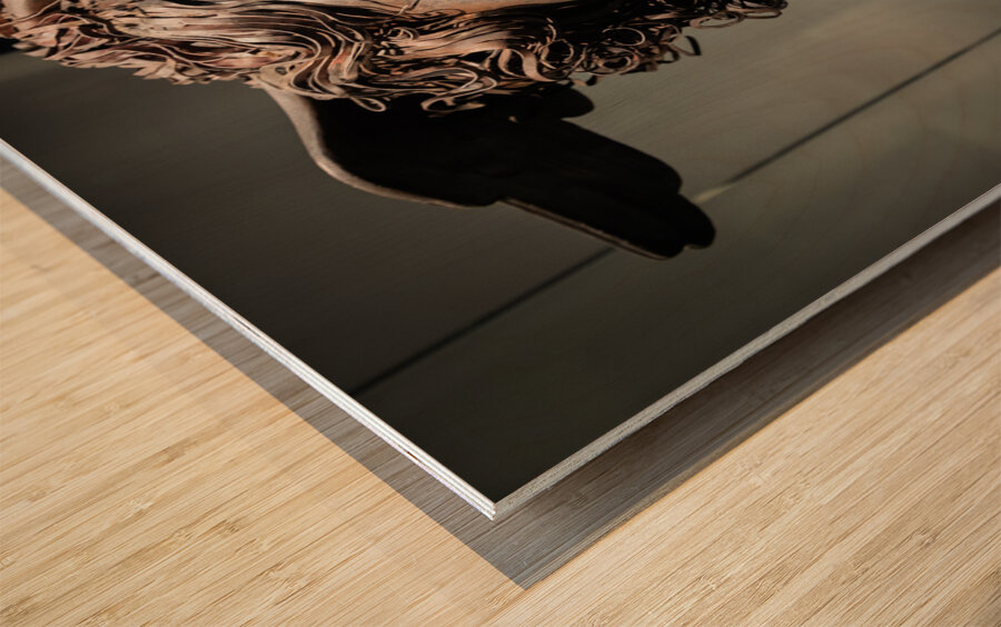 Head of Medusa by sculptor Antonio Canova 1799 bronze and cop Wood print