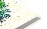 Palm tree HD Metal print