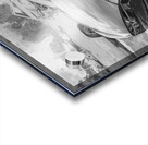 2015 Grey Tesla Model S P85D X 8 Acrylic print