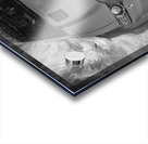 2013 Red Ford Mustang GT 5 0 CS California Special X 6 Acrylic print