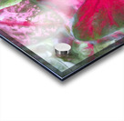 Red Caladium Plants Araceae  X100 Acrylic print