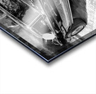 1969 Ford Mustang Fastback Mach 1 X 4 Acrylic print