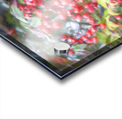 Red Berries Nadina Heavenly Bamboo X1 1 Acrylic print