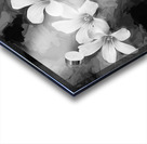 Oxalis Purple Flowers Violacea X100 2 Acrylic print