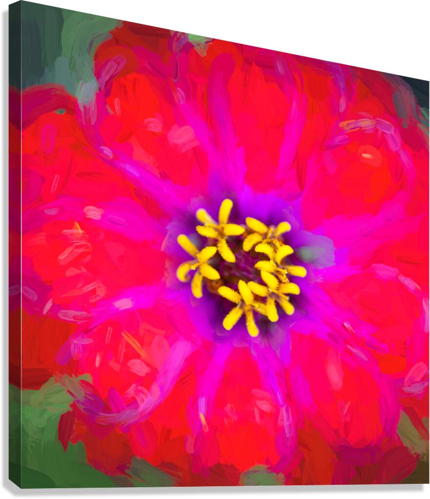 Zinnias Elegans X15 4 Canvas Print