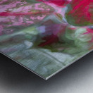 Red Caladium Plants Araceae  X100 Metal print