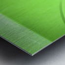 2020 Green Dodge Challenger Hemi RT Shaker X2 22 Metal print