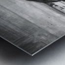 Bernese Mountain Dog Aspen X100 Metal print