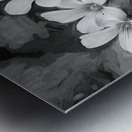 Oxalis Purple Flowers Violacea X100 2 Metal print