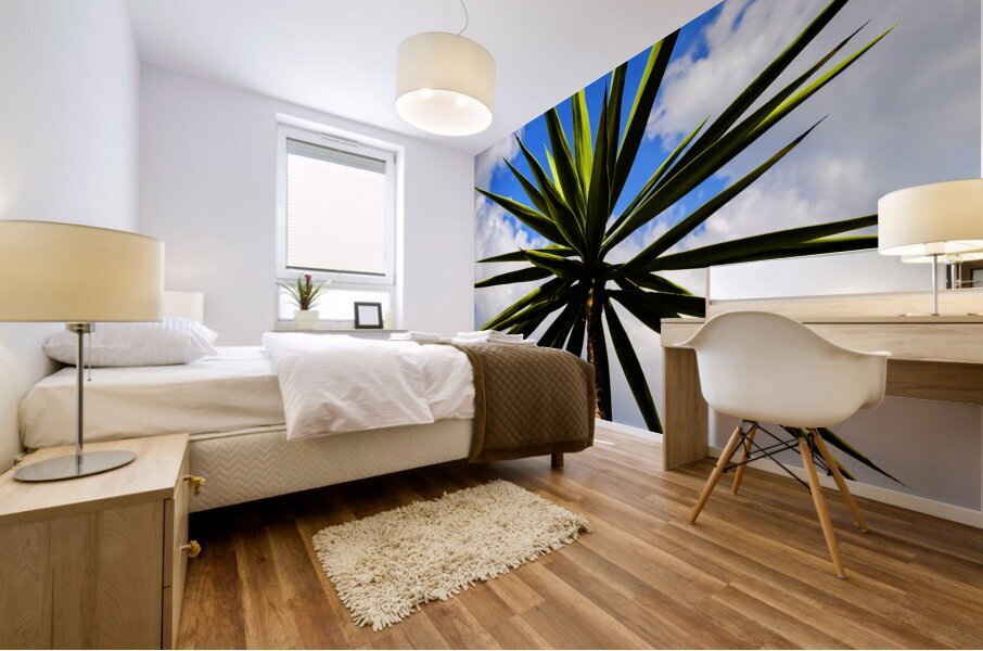 Yucca plant Spanish Bayonet 130 Mural print