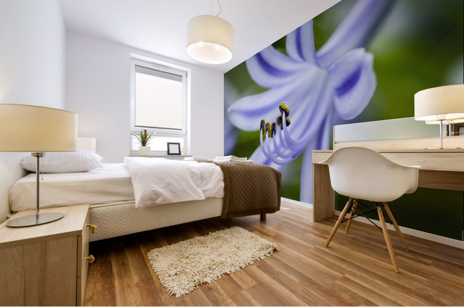 Agapanthus LilyInviting Friends X100 Mural print
