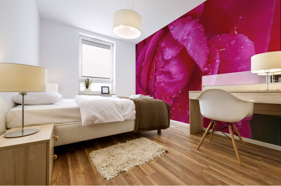 Knockout Roses X010 Mural print