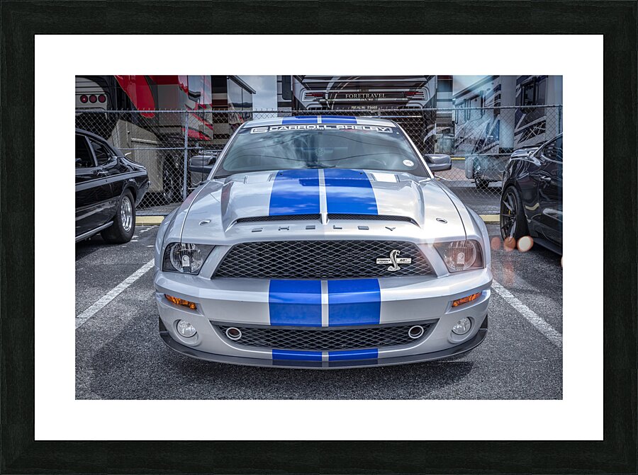 2008 Ford Shelby GT500KR X 2 Picture Frame print