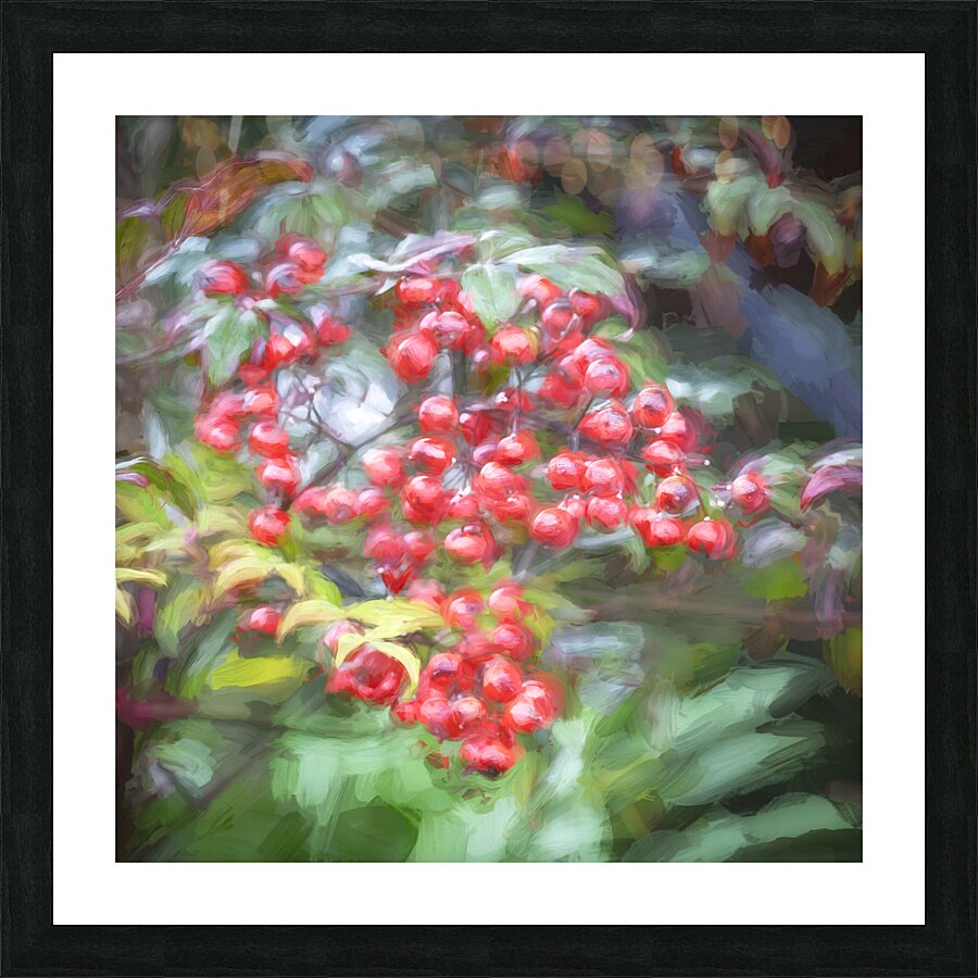 Red Berries Nadina Heavenly Bamboo X1 1 Picture Frame print