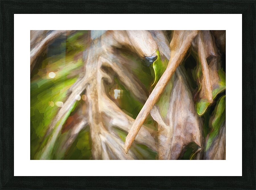 Winter Damage Split Philodendron Leaf X107 Picture Frame print