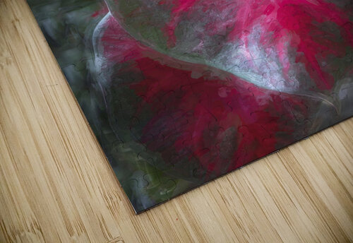 Red Caladium Plants Araceae  X100 Rich Franco puzzle