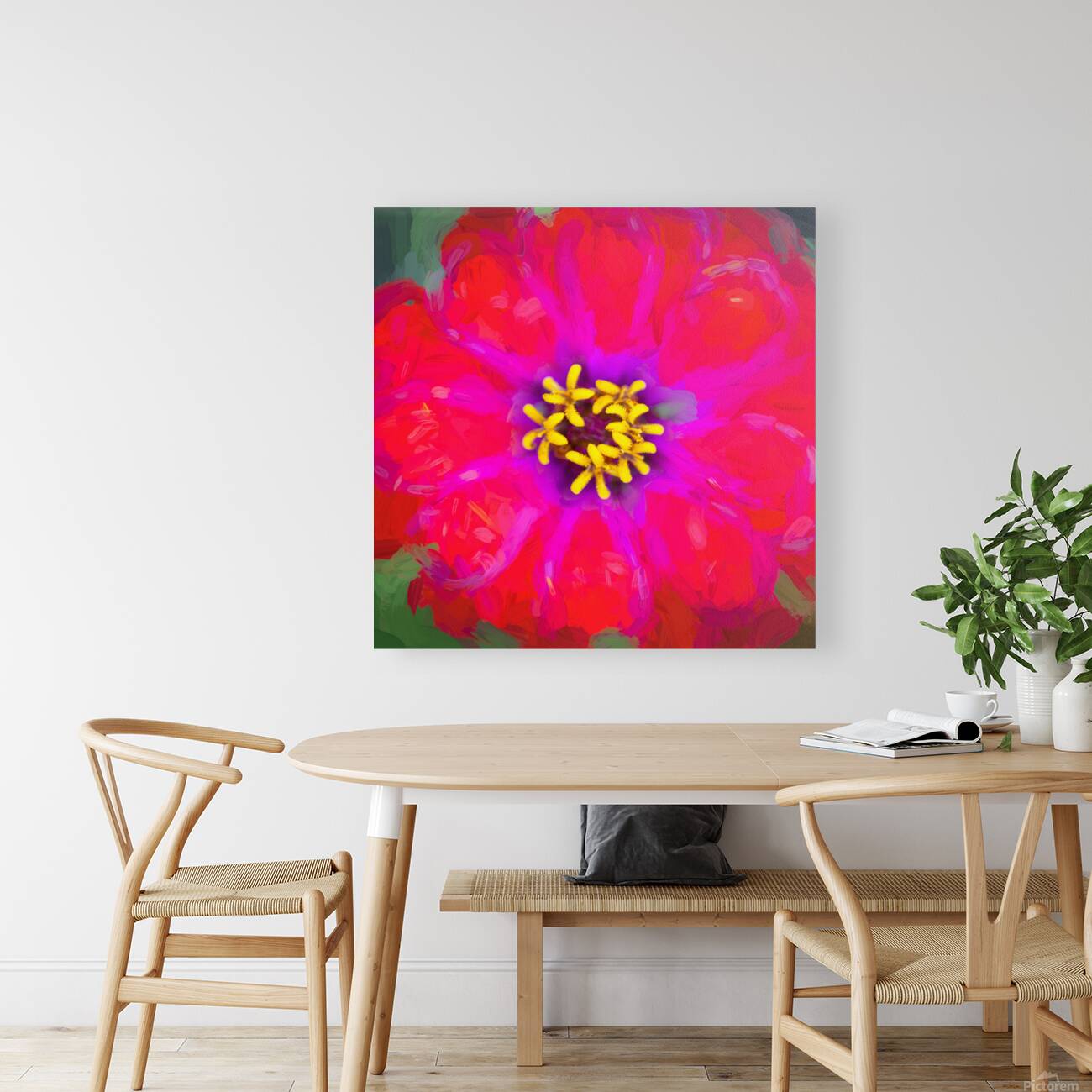 Zinnias Elegans X15 4 Reproduction