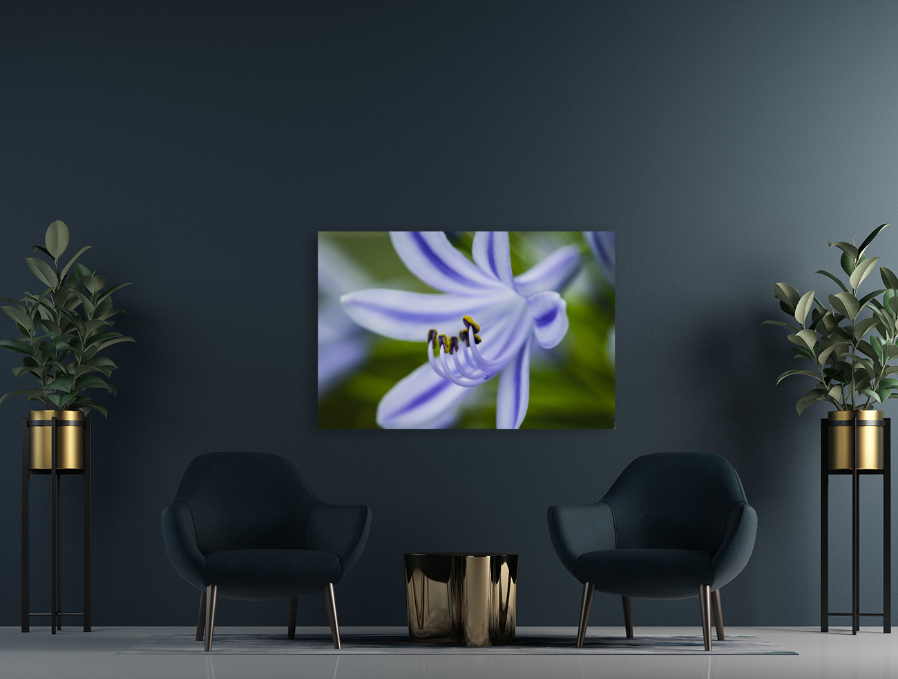 Agapanthus LilyInviting Friends X100 Reproduction