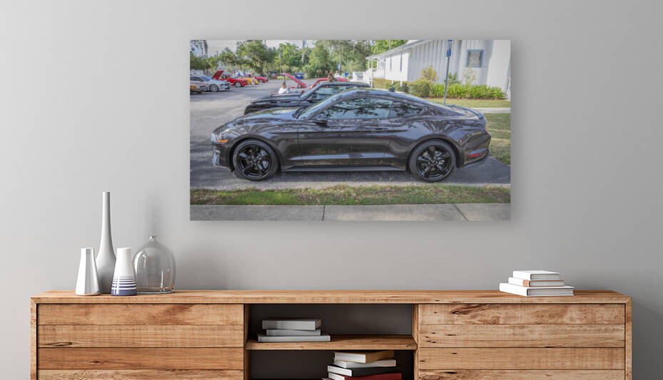 2023 Ford Mustang Dark Matter Gray GT50 X100 13 by Rich Franco
