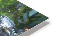 1N3A7495 Topaz RB HD Metal print