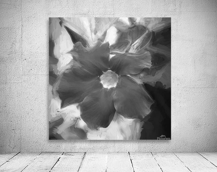 Red Mandevilla Flower Vine X 4 Wall Preview