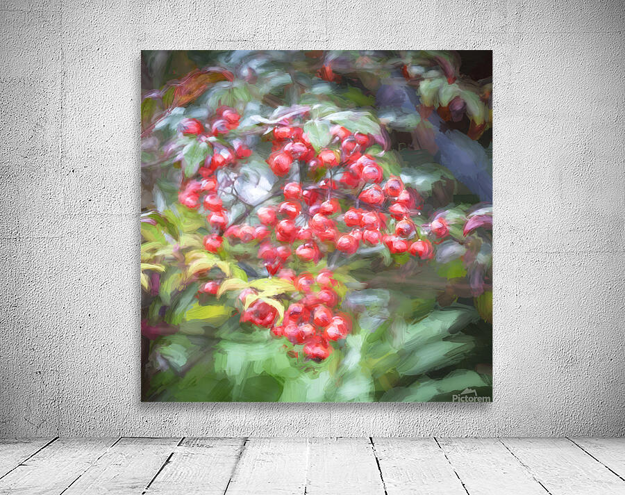 Red Berries Nadina Heavenly Bamboo X1 1 Wall Preview
