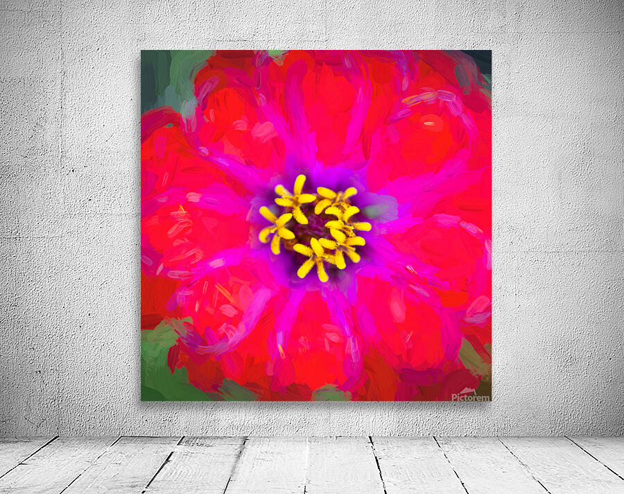 Zinnias Elegans X15 4 Wall Preview