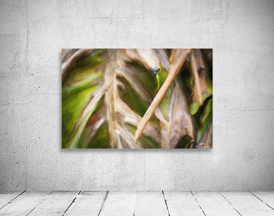 Winter Damage Split Philodendron Leaf X107 Wall Preview