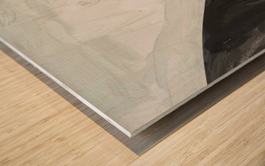 1966 White Ford Galaxie Custom 500 XL X 1 Wood print