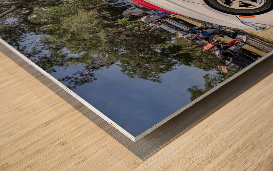 2011 White BMW Z4 sDrive 35 is Convertible X 7 Wood print