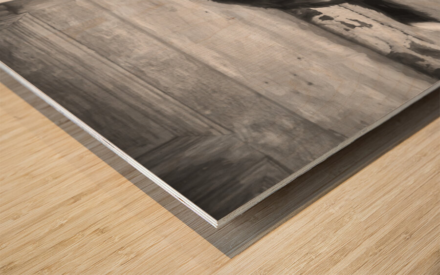 Bernese Mountain Dog Aspen X100 Wood print