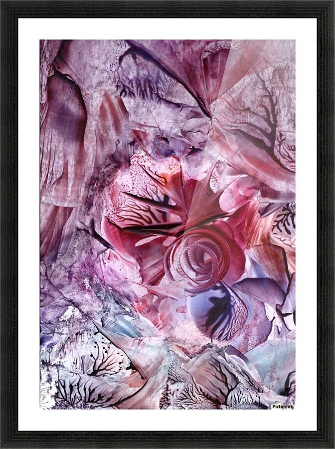Eden afloat Picture Frame print