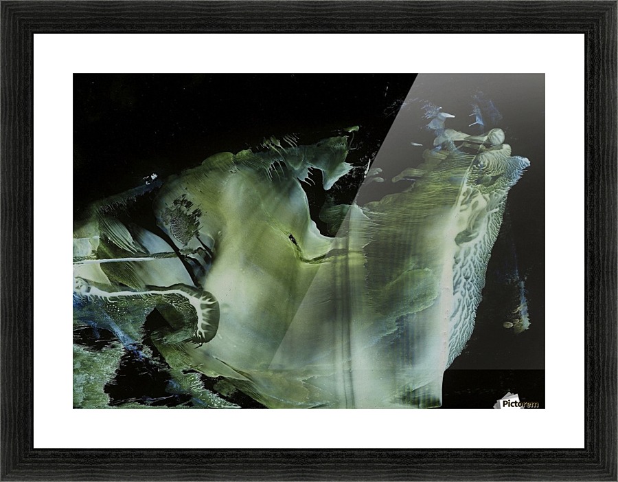 Venus subaqua Picture Frame print