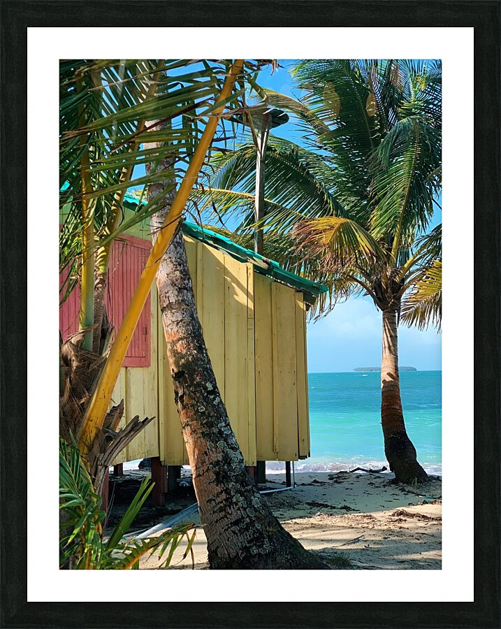  Fine Art print