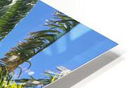Paia HD Metal print
