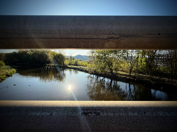 Spider Web on Bridge at Sunrise – Nature Framed in Stillness 2 Digital Download