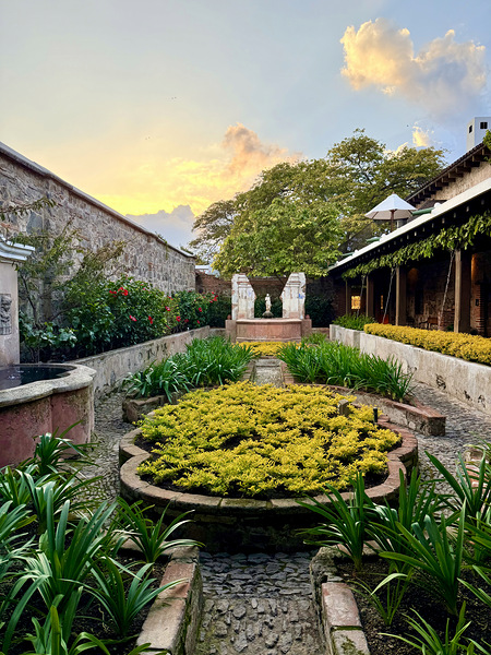 IMG 9950 Digital Download