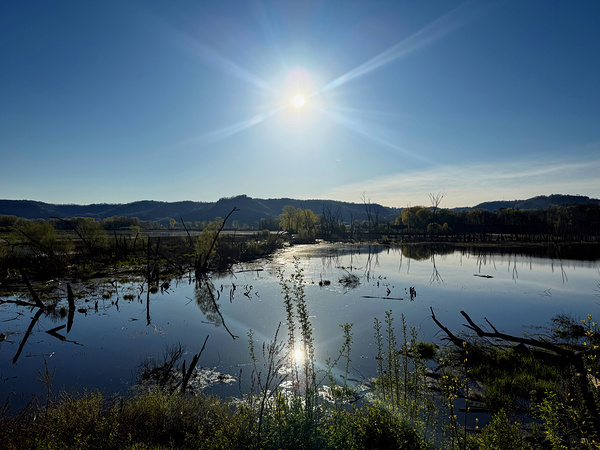 Reflections of La Crosse 2B- Reflecting the brilliance of a new day Téléchargement Numérique