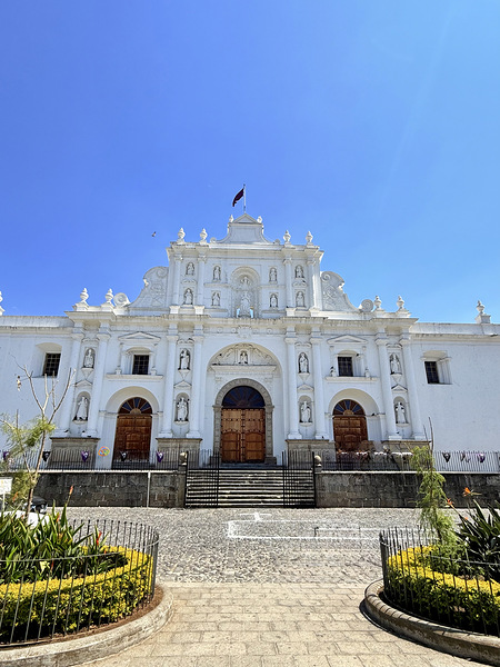 IMG 0284 Digital Download