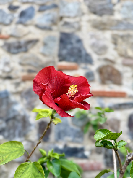 IMG 9957 Téléchargement Numérique