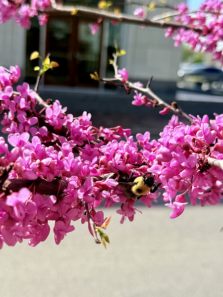 IMG 1627 Digital Download